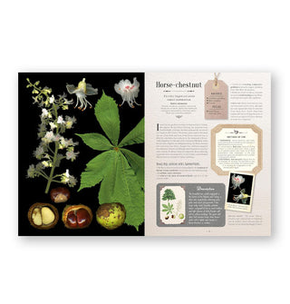 Page spread from 100 Plants That Heal features a section on Horse-chestnut alongside dynamic imagery