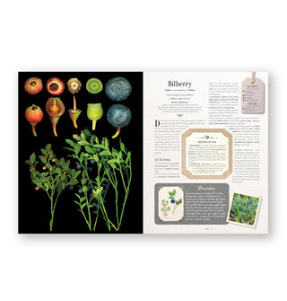 Page spread from 100 Plants That Heal features a section on Bilberry alongside dynamic imagery