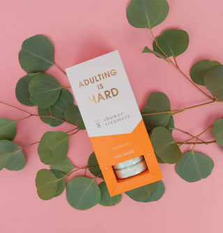 A partially slid-open box of Adulting is Hard Shower Steamers reveals white steamer discs inside and rests on a ecalyptus branch on a pink backdrop