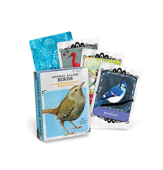 Box and four-card spread of Birds Animal Allies oracle cards featuring colorful bird illustrations and blue patterned card back