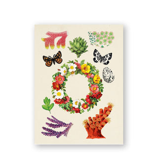 Page from The Antiquarian Sticker Book features flowers, butterflies, coral, seaweed, butterflies, an artichoke, and egg and a leaf