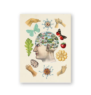 Page from The Antiquarian Sticker Book features a central illustration of a human head in profile with phrenology-like landscape designs across the skull and surrounded by plants, butterflies, hands, and other designs