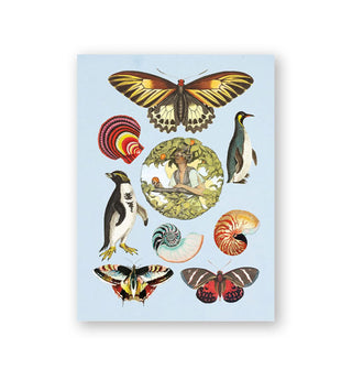 Page from The Antiquarian Sticker Book features designs of butterflies, seashells, penguins, and a central woman surrounded by leaves holding an apple