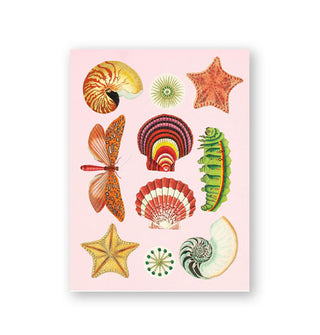 Page from The Antiquarian Sticker Book features various marine objects and insects