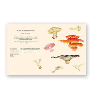 Page spread from Antonio Carluccio's A Passion for Mushrooms: The Classic Cookbook features a recipe for Mixed Mushroom Salad with illustrations