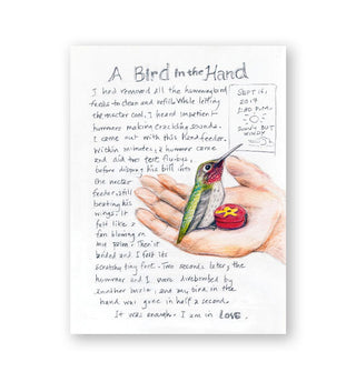 Page from the Backyard Bird Chronicles features a handwritten entry titled, "A Bird in the Hand" with accompanying illustration of a hummingbird perched in the palm of a hand