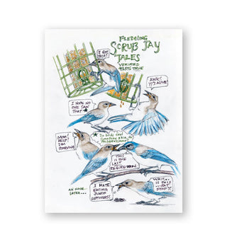 Page from the Backyard Bird Chronicles features a colorful comic book-style illustration titled, "Fledgling Scrub Jay Tales"