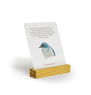 Bird card slipped in the groove of a wooden display stand