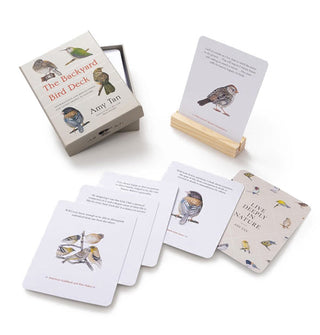 Some contents of The Backyard Bird deck: card spread, one card placed in wooden stand, and box