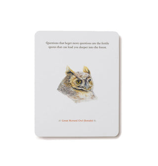Great Horned Owl card from The Backyard Bird Deck
