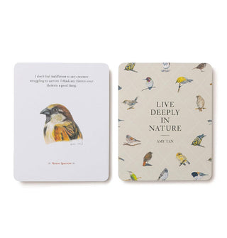 House Sparrow card from The Backyard Bird Deck alongside another card that says, "Live deeply in nature – Amy Tan" amid small, colorful bird illustrations