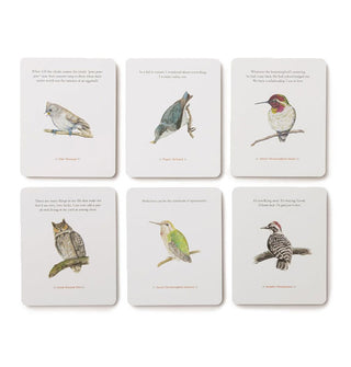Spread of six cards from The Backyard Bird Deck