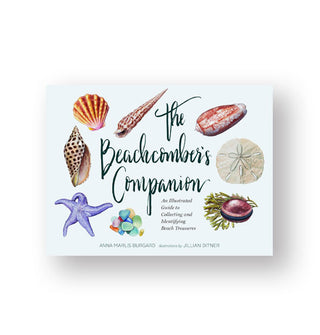 Cover of The Beachcomber's Companion: An Illustrated Guide to Collecting and Identifying Beach Treasures features illustrated seashells, a starfish, sea glass, coral with clam, and a sand dollar encircling the title
