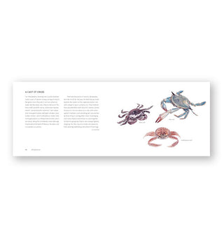 Page spread from The Beachcomber's Companion featured a page of text alongside three illustrated crabs