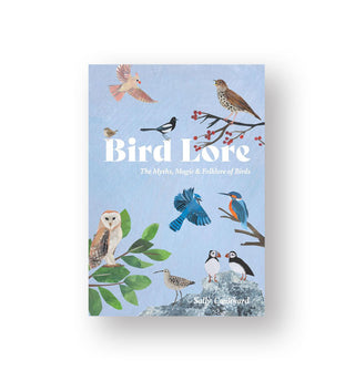 Light blue cover of Bird Lore: The Myths, Magic & Folklore of Birds by Sally Coulthard features whimsical illustrations of various birds