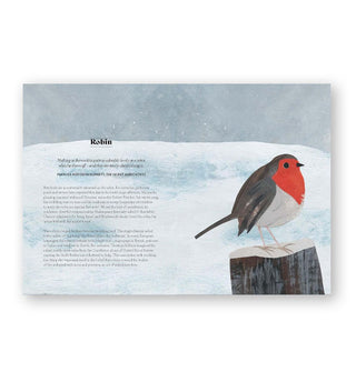 Page spread from Bird Lore features a section with full-page illustration on the Robin