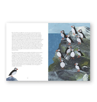 Page spread from Bird Lore features a section with illustrations on the Puffin