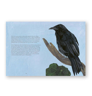 Page spread from Bird Lore features a section with full-page illustration on the Raven