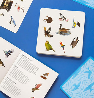Cards and open booklet from the Bird Spotter game on a blue surface
