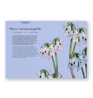 Page spread from Blossom features a section on Three-cornered garlic with large illustration of the plant on a blue background