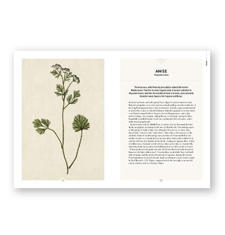 Page spread from The Botanical Bar features a section on Anise with an illustration of the herb