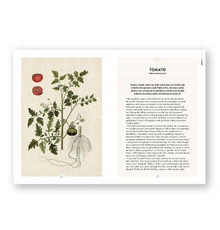 Page spread from The Botanical Bar features a section on Tomato with an illustration of the plant