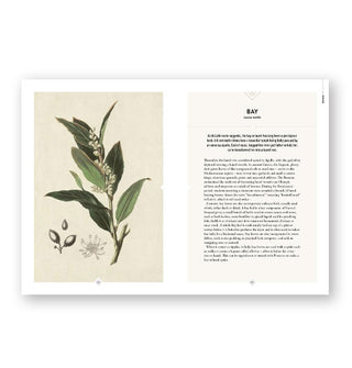 Page spread from The Botanical Bar features a section on Bay with an illustration of the herb