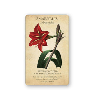 Card from Botanical Inspirations features an illustration and explanation of Amaryllis