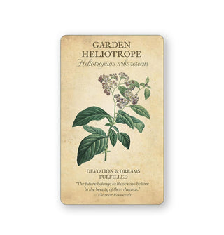 Card from Botanical Inspirations features an illustration and explanation of Garden Heliotrope
