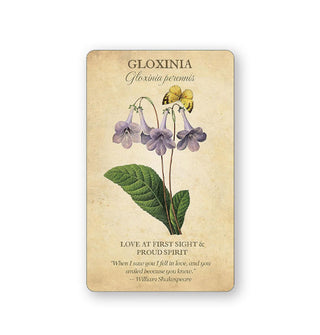 Card from Botanical Inspirations features an illustration and explanation of Gloxinia