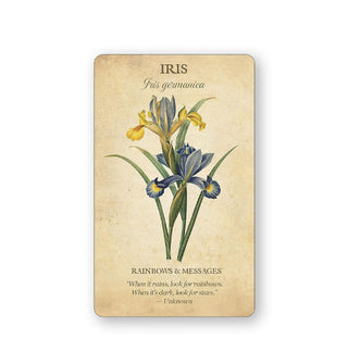 Card from Botanical Inspirations features an illustration and explanation of Iris