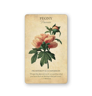 Card from Botanical Inspirations features an illustration and explanation of Peony