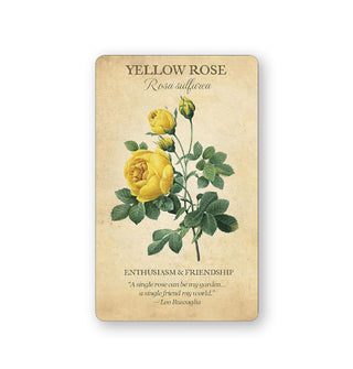 Card from Botanical Inspirations features an illustration and explanation of Yellow Rose