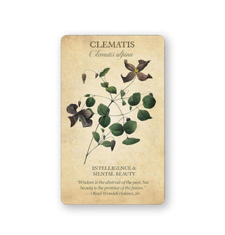 Card from Botanical Inspirations features an illustration and explanation of Clematis