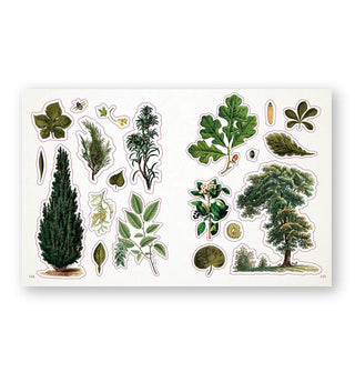 Page spread from The Botanist's Sticker Anthology features designs with an arboreal theme