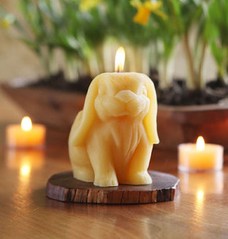 Lit rabbit beeswax candle on wooden tree slice staged with other lit candles with floral planter in background