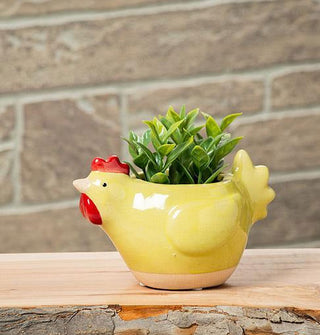 Chicken planter on a wooden surface against a stone backdrop with a green leafy plant protruding from its center