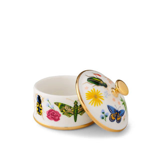 Round white porcelain box with colorful plant and insect designs has lid removed and propped up alongside