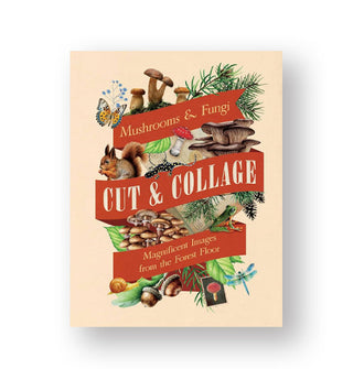 Cream-colored cover of Mushrooms & Fungi: Cut & Collage features title lettering in red banners around central illustrations of plants. animals, insects, and mushrooms
