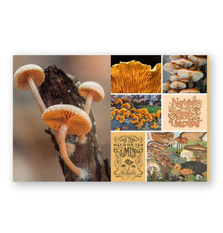 Page spread from Cut & Collage: Mushrooms & Fungi features mushroom-themed photographs and illustrated designs
