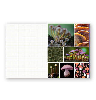 Page spread from Cut & Collage: Mushrooms & Fungi features mushroom-themed photographs and illustrations alongside a graph paper page