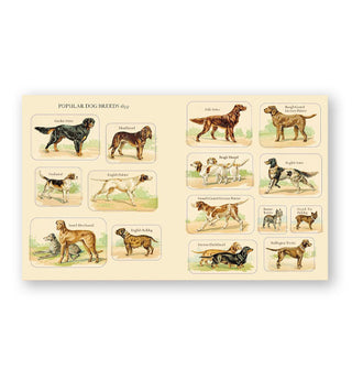 Page spread from Cynthia Hart's Victoriana Dogs: The Sticker Book features labeled dog breed illustrations titled, "Popular Dog Breeds"