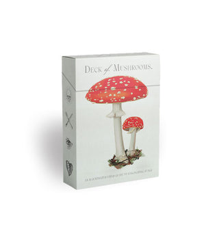White Deck of Mushrooms card box featuring illustration of two red and white-capped mushrooms