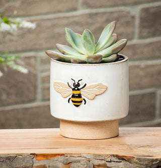 Ceramic bee pot is planted with a green succulent and sits on a wooden surface against a stone backdrop