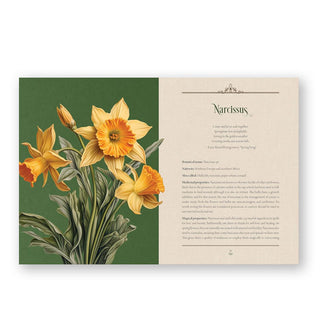 Page spread from Enchanted Plants features a section on Narcissus alongside an intricate colorful illustration of the plant