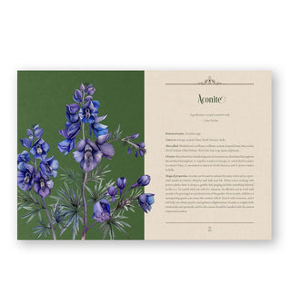 Page spread from Enchanted Plants features a section on Aconite alongside an intricate colorful illustration of the plant