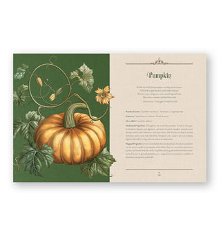 Page spread from Enchanted Plants features a section on the Pumpkin alongside an intricate colorful illustration of the plant
