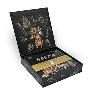 Opened black box of Everyday Spells for Busy Witches features forest-themed illustrations and a banded stack of cards inside, at the top of which is one for "Protection"