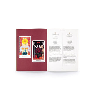 Page spread from the Floral Tarot guidebook features explanations of Temperance and The Devil alongside illustrations of each card