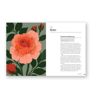 Page spread from Floraphile's Almanac features a chapter on the Rose alongside a full-page color illustration of the flower